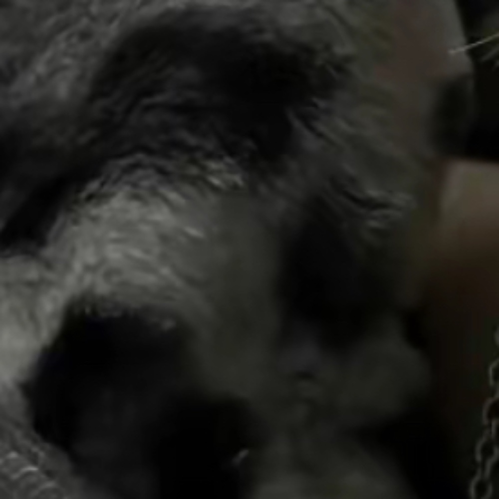 Meet your Posher, Russell